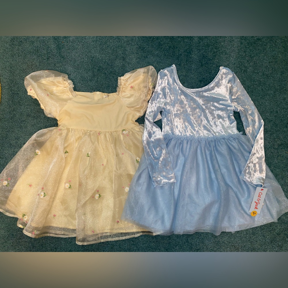 Girls Dress Lot!